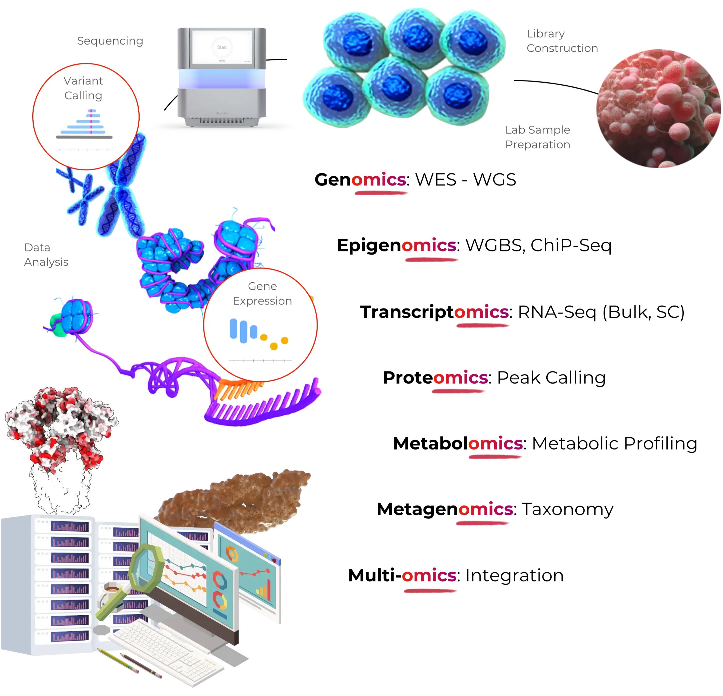 Research solutions workflow Scientific workflow illustration showing sequencing, variant calling, data analysis, gene expression, library construction, lab sample preparation, and data processing pipeline