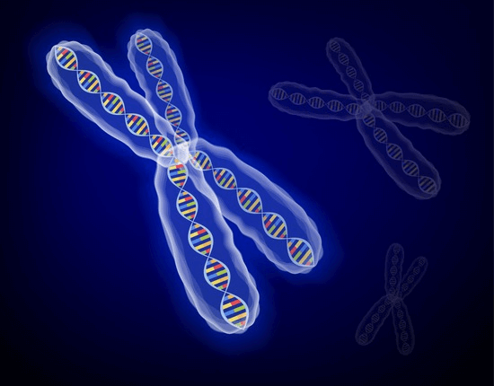 Epigenomics - DNA methylation and gene expression regulation