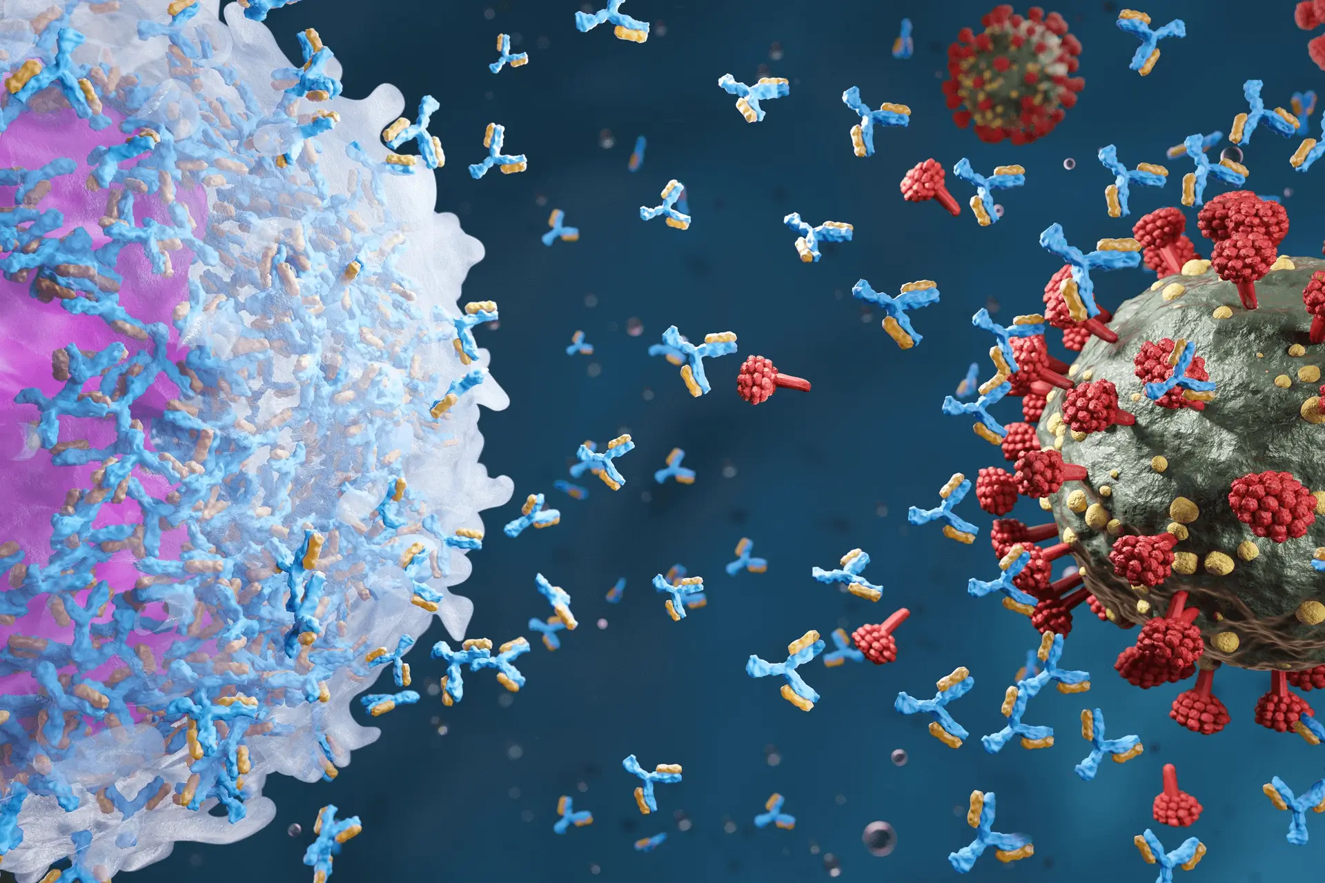 Immunoinformatics - Antigen prediction and immune response modeling