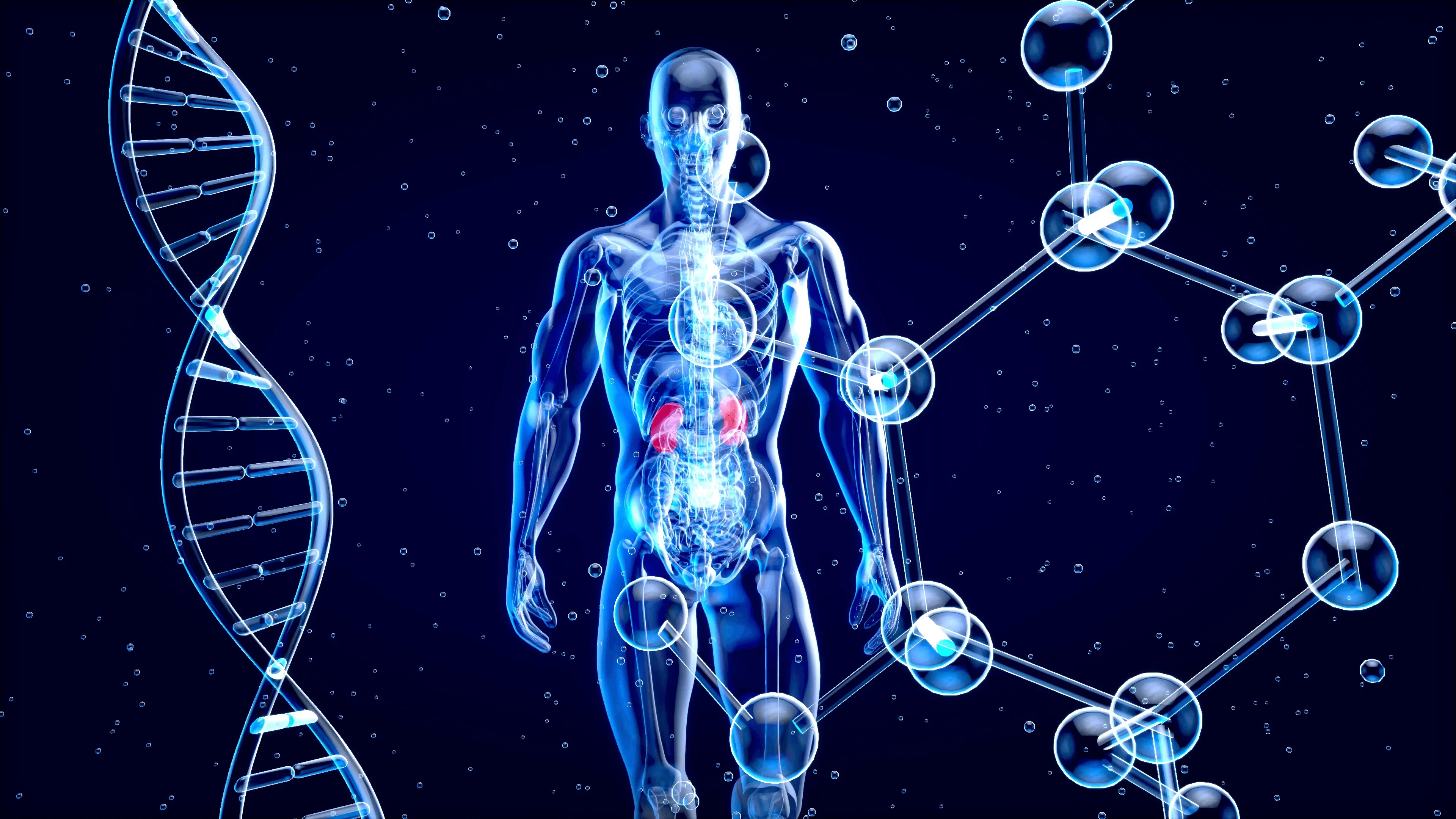 Metabolomics Metabolomics - Metabolic pathways and biochemical activity analysis