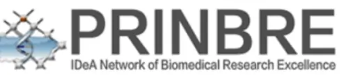 Collaboration partner logo 32