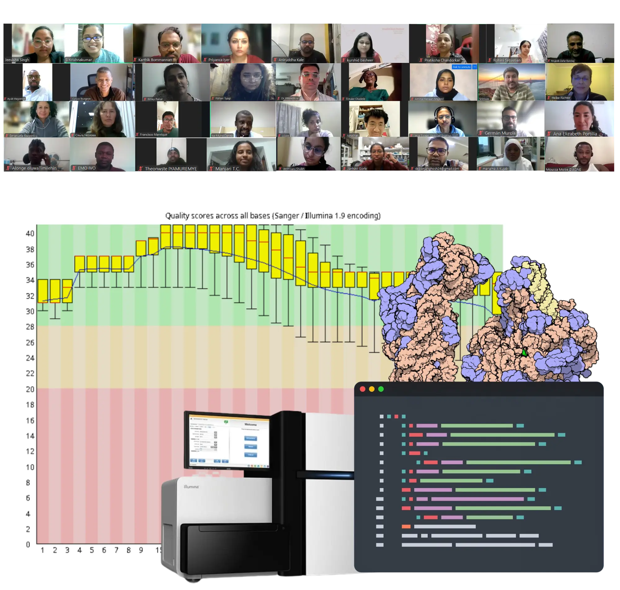 Mentor Guided Live Workshops